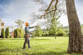 Best Leaf Removal  in Pinebluff, NC